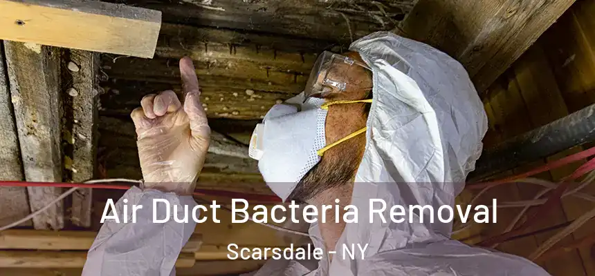  Air Duct Bacteria Removal Scarsdale - NY