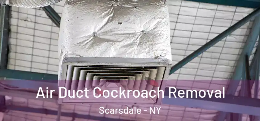  Air Duct Cockroach Removal Scarsdale - NY