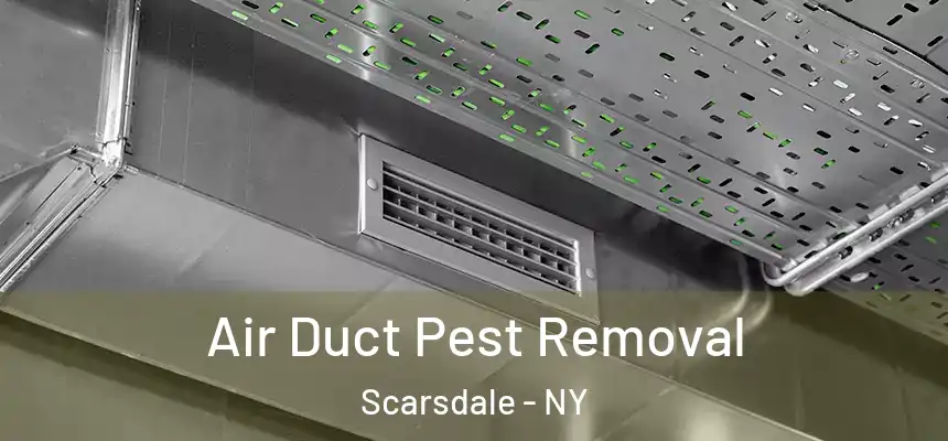 Air Duct Pest Removal Scarsdale - NY