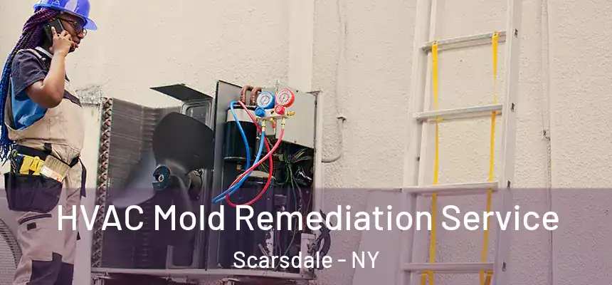  HVAC Mold Remediation Service Scarsdale - NY