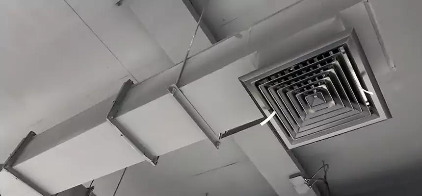 Our Rodent Droppings In Vents Services in Scarsdale, NY