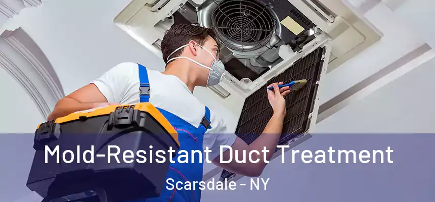  Mold-Resistant Duct Treatment Scarsdale - NY