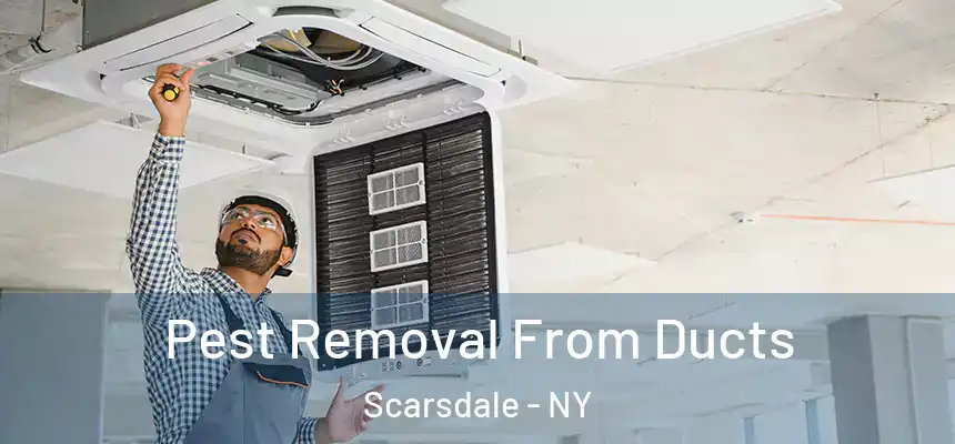  Pest Removal From Ducts Scarsdale - NY