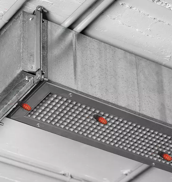 Affordable Insect Removal from Air Ducts in Scarsdale, NY